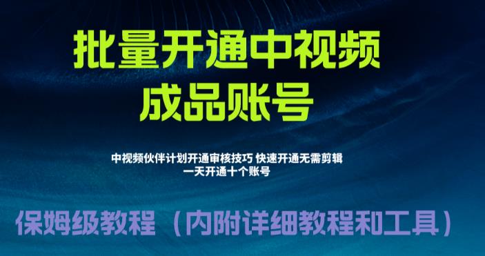 外面收费1980的暴力开通中视频计划教程，内附详细的快速通过中视频伙伴计划的办法-轻松搞定副业 - 高效赚钱方法和建议