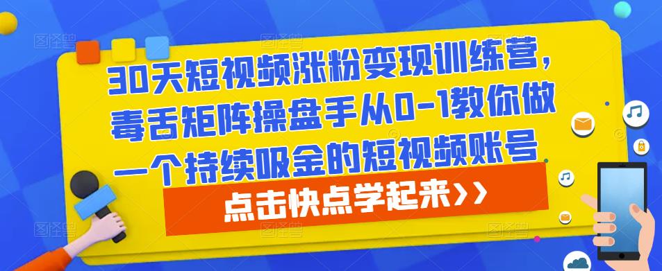 30天短视频涨粉变现训练营，毒舌矩阵操盘手从0-1教你做一个持续吸金的短视频账号-轻松搞定副业 - 高效赚钱方法和建议