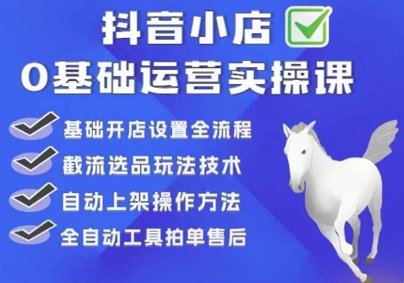 白马电商·0基础抖店运营实操课，基础开店设置全流程，截流选品玩法技术-轻松搞定副业 - 高效赚钱方法和建议