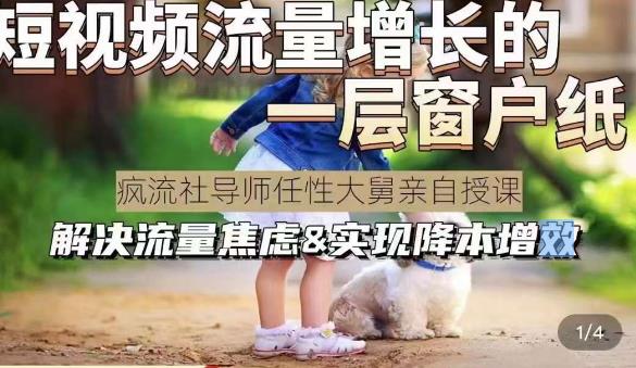 任性大舅·宠物行业短视频运营课(不讲废话)，短视频流量增长的一层窗户纸，解决流量焦虑&实现降本增效-轻松搞定副业 - 高效赚钱方法和建议
