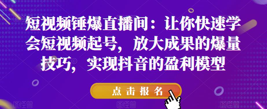 短视频锤爆直播间：让你快速学会短视频起号，放大成果的爆量技巧，实现抖音的盈利模型-轻松搞定副业 - 高效赚钱方法和建议