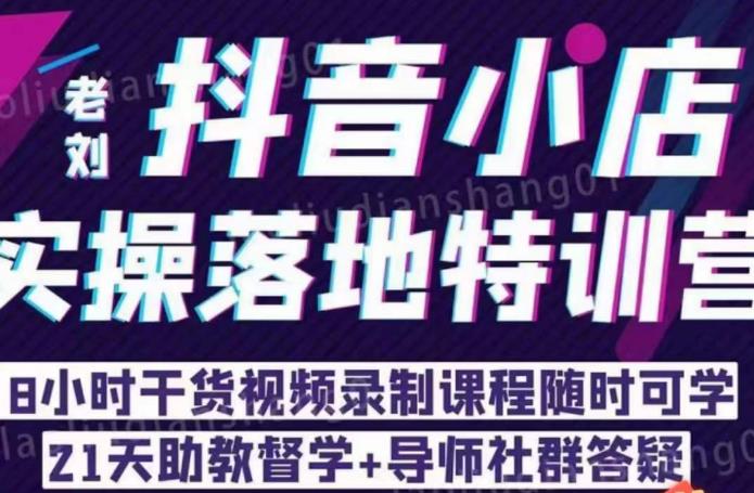 老刘·抖店商品卡流量，​抖音小店实操落地特训营，8小时干货视频录制课程随时可学-轻松搞定副业 - 高效赚钱方法和建议