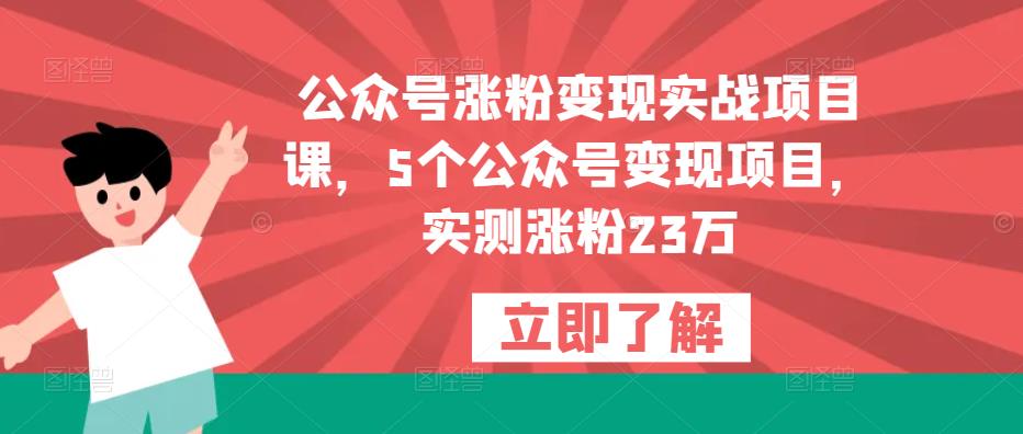 公众号涨粉变现实战项目课，5个公众号变现项目，实测涨粉23万-轻松搞定副业 - 高效赚钱方法和建议