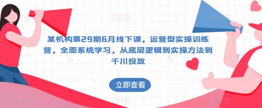 某机构第29期6月线下课，运营型实操训练营，全面系统学习，从底层逻辑到实操方法到千川投放-轻松搞定副业 - 高效赚钱方法和建议