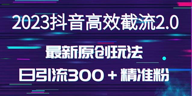 日引300＋创业粉，独家抖音高效截流2.0玩法（价值1280）-轻松搞定副业 - 高效赚钱方法和建议