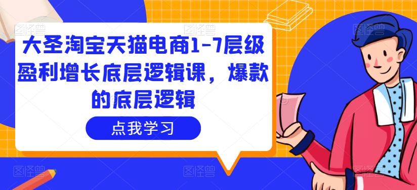 大圣淘宝天猫电商1-7层级盈利增长底层逻辑课，爆款的底层逻辑-轻松搞定副业 - 高效赚钱方法和建议