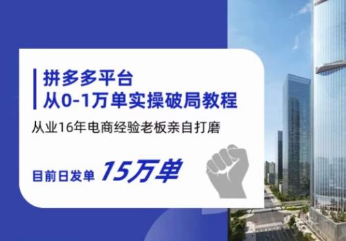 拼多多从0-1万单实操破局教程，从业16年电商经验打磨，目前日发单15万单-轻松搞定副业 - 高效赚钱方法和建议