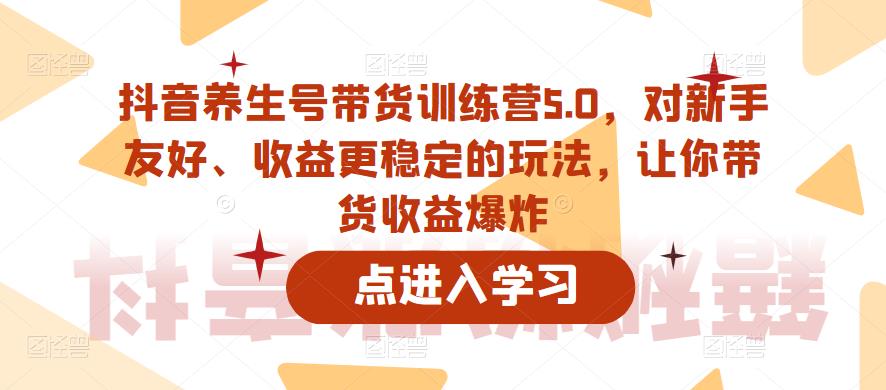 抖音养生号带货训练营5.0，对新手友好、收益更稳定的玩法，让你带货收益爆炸（更新）-轻松搞定副业 - 高效赚钱方法和建议