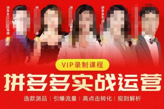 2023推易拼多多实战运营，选款测品、引爆流量、高点击转化、规则解析-轻松搞定副业 - 高效赚钱方法和建议