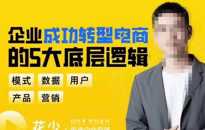 企业成功转型电商的5大底层逻辑，从模式、数据、用户、产品、营销5大板块，助你高效转型电商赛道-轻松搞定副业 - 高效赚钱方法和建议