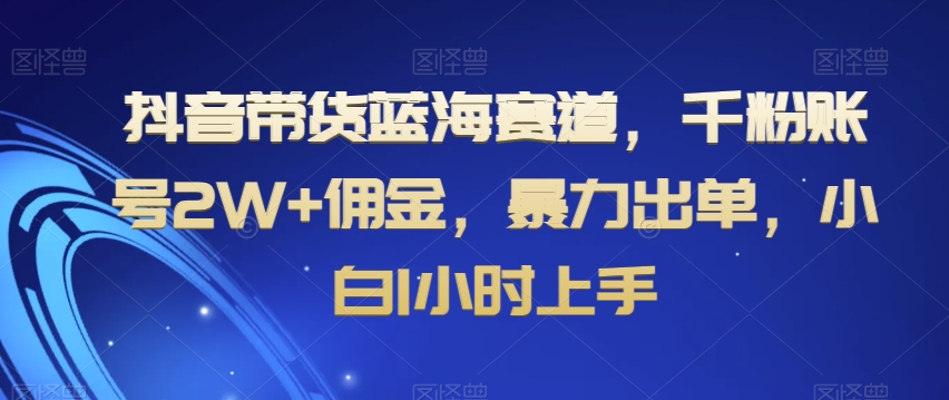 抖音带货蓝海赛道，千粉账号2W+佣金，暴力出单，小白1小时上手【揭秘】-轻松搞定副业 - 高效赚钱方法和建议