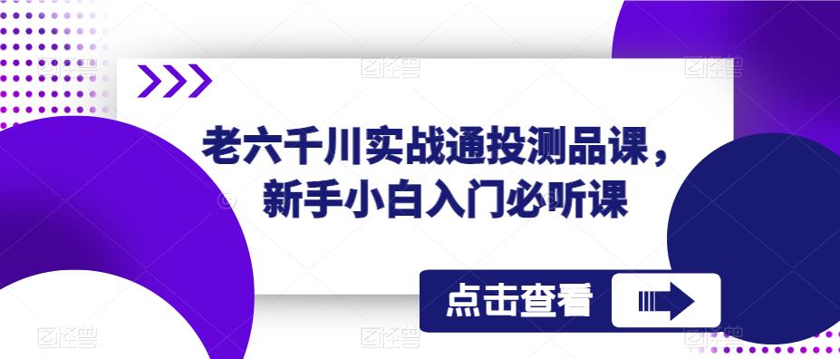 老六千川实战通投测品课，新手小白入门必听课-轻松搞定副业 - 高效赚钱方法和建议