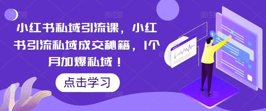 小红书私域引流课，小红书引流私域成交秘籍，1个月加爆私域！-轻松搞定副业 - 高效赚钱方法和建议