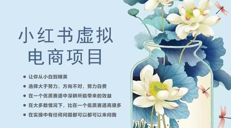 小红书虚拟电商从0到1，让你从小白到精英（20节实操课程）-轻松搞定副业 - 高效赚钱方法和建议