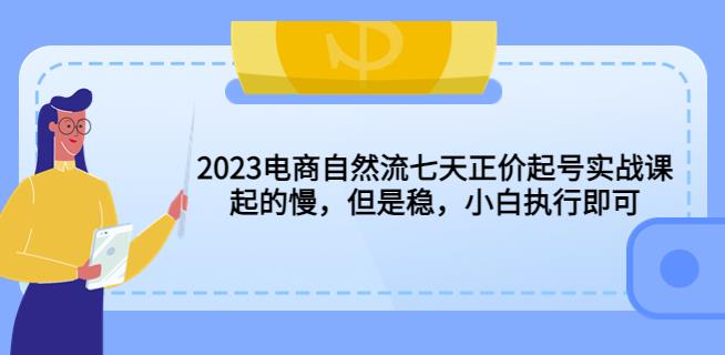 2023电商自然流七天正价起号实战课：起的慢，但是稳，小白执行即可！-轻松搞定副业 - 高效赚钱方法和建议