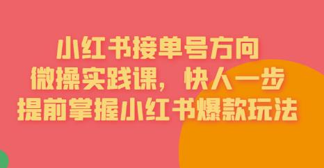 接单号方向·小红书微操实践课，快人一步，提前掌握小红书爆款玩法-轻松搞定副业 - 高效赚钱方法和建议