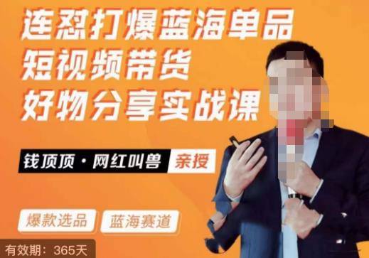 网红叫兽·连怼打爆蓝海单品，短视频带货好物分享实战课-轻松搞定副业 - 高效赚钱方法和建议
