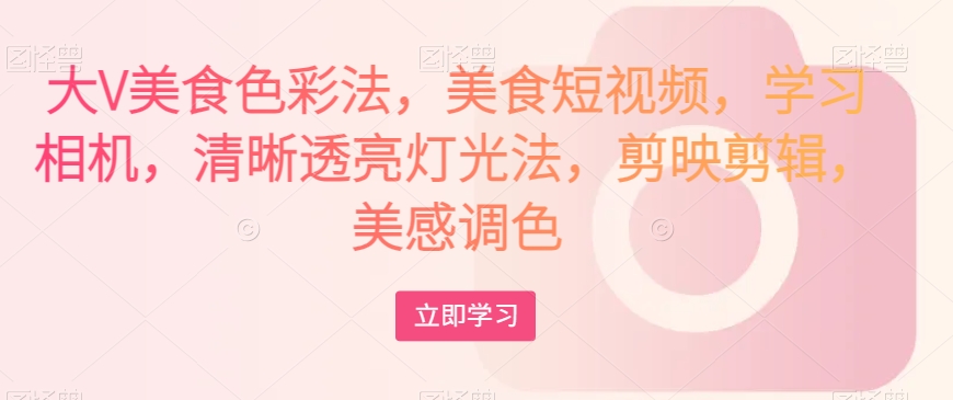 大V美食色彩法，美食短视频，学习相机，清晰透亮灯光法，剪映剪辑，美感调色-轻松搞定副业 - 高效赚钱方法和建议