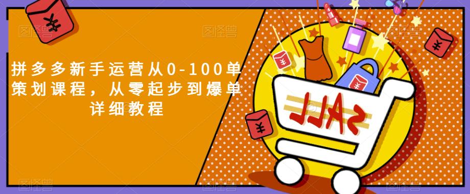 拼多多新手运营从0-100单策划课程，从零起步到爆单详细教程-轻松搞定副业 - 高效赚钱方法和建议