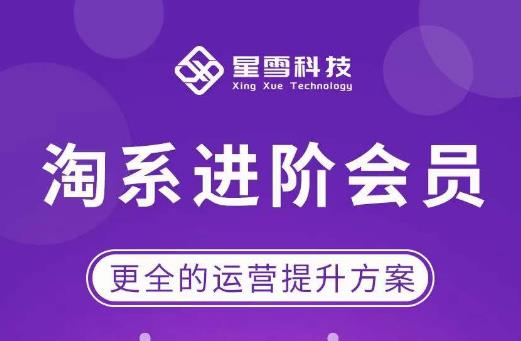 星雪·淘系进阶课程，快速提升突破技能流量瓶颈必备（更新2023年5月）-轻松搞定副业 - 高效赚钱方法和建议