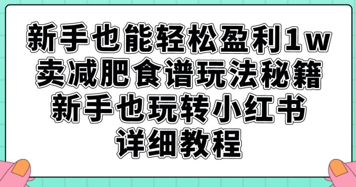 新手也能轻松盈利1w，卖减肥食谱玩法秘籍，新手也玩转小红书详细教程【揭秘】-轻松搞定副业 - 高效赚钱方法和建议