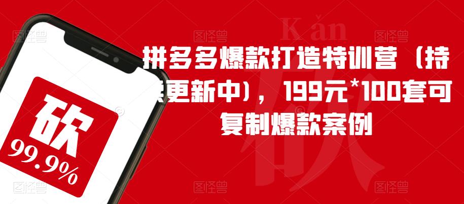 拼多多爆款打造特训营（持续更新中)，199元*100套可复制爆款案例-轻松搞定副业 - 高效赚钱方法和建议