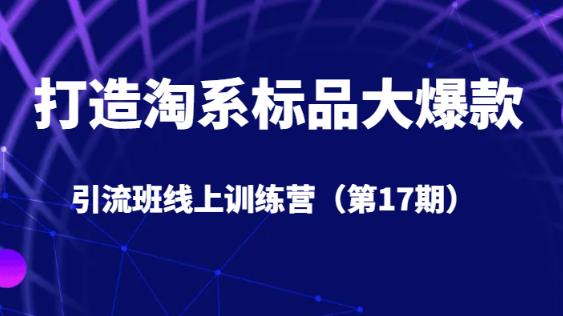 打造淘系标品大爆款引流班线上训练营（第17期）5天直播授课-轻松搞定副业 - 高效赚钱方法和建议