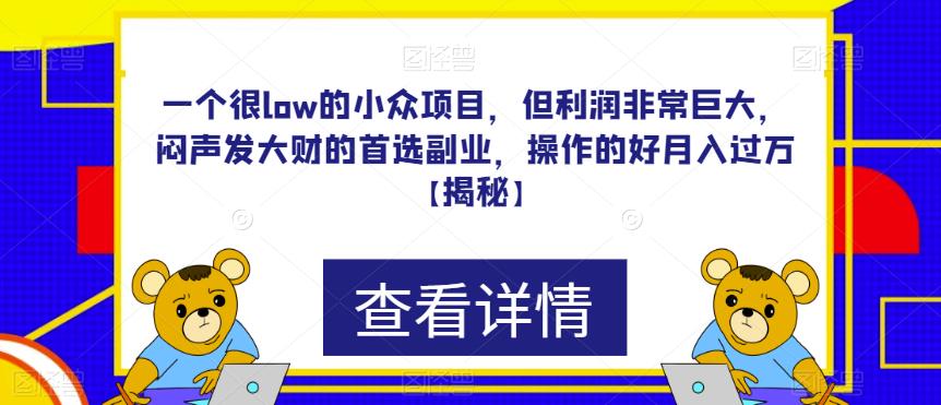 一个很low的小众项目，但利润非常巨大，闷声发大财的首选副业，操作的好月入过万【揭秘】-轻松搞定副业 - 高效赚钱方法和建议