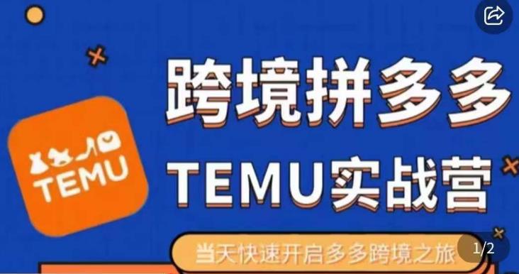 大鹏出海·拼多多跨境temu运营指导，开店注册+选品+核价上架，日出千单实战课-轻松搞定副业 - 高效赚钱方法和建议