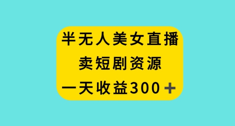 半无人美女直播，卖短剧资源，一天收益300+【揭秘】-轻松搞定副业 - 高效赚钱方法和建议