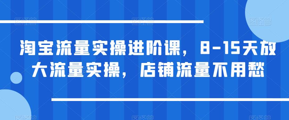 淘宝流量实操进阶课，8-15天放大流量实操，店铺流量不用愁-轻松搞定副业 - 高效赚钱方法和建议