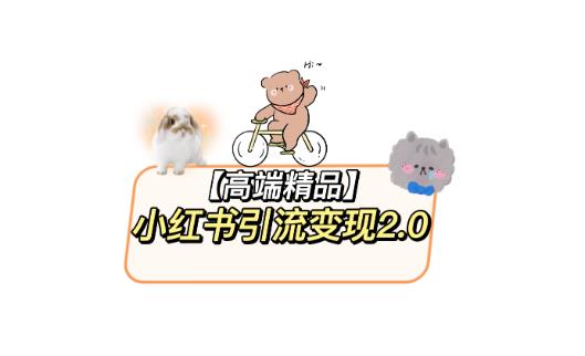 小红书最新引流变现教程，全网最新最详细的视频教程以及素材-轻松搞定副业 - 高效赚钱方法和建议