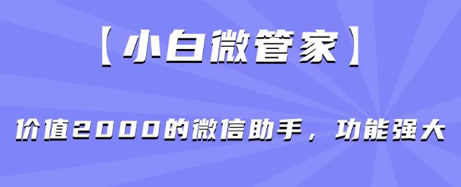 【小白微管家】价值2000的微信助手，功能强大-轻松搞定副业 - 高效赚钱方法和建议