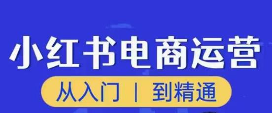 顽石小红书电商高阶运营课程，从入门到精通，玩法流程持续更新-轻松搞定副业 - 高效赚钱方法和建议