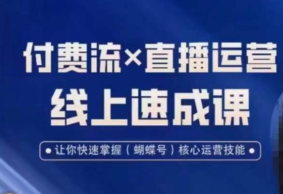 视频号付费流实操课程，付费流✖️直播运营速成课，让你快速掌握视频号核心运营技能-轻松搞定副业 - 高效赚钱方法和建议