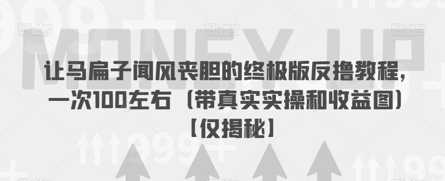 让马扁子闻风丧胆的终极版反撸教程，一次100左右（带真实实操和收益图）【仅揭秘】-轻松搞定副业 - 高效赚钱方法和建议