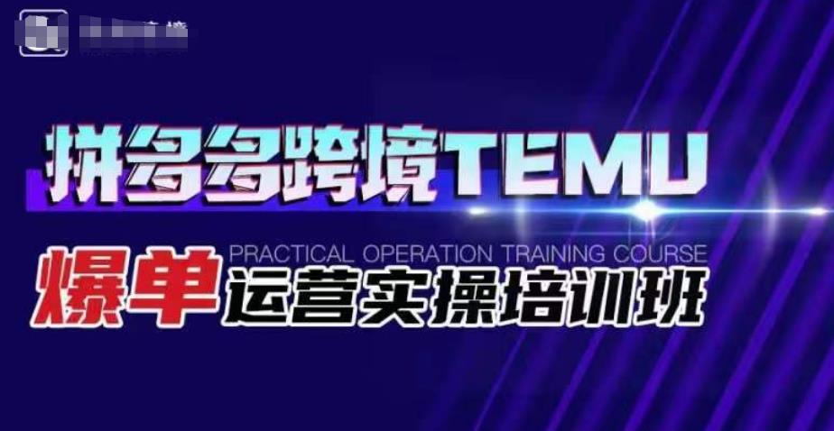 拼多多跨境TEMU爆单运营实操培训班，海外拼多多的选品、运营、爆单-轻松搞定副业 - 高效赚钱方法和建议