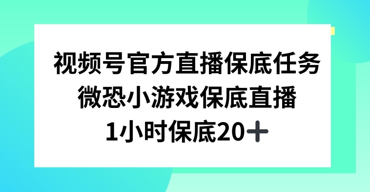 视频号直播任务，微恐小游戏，1小时20+【揭秘】-轻松搞定副业 - 高效赚钱方法和建议