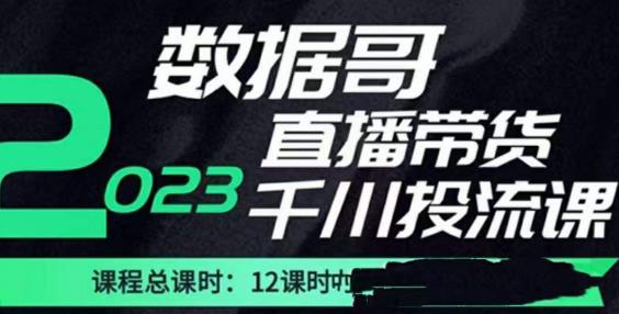 数据哥2023直播电商巨量千川付费投流实操课，快速掌握直播带货运营投放策略-轻松搞定副业 - 高效赚钱方法和建议