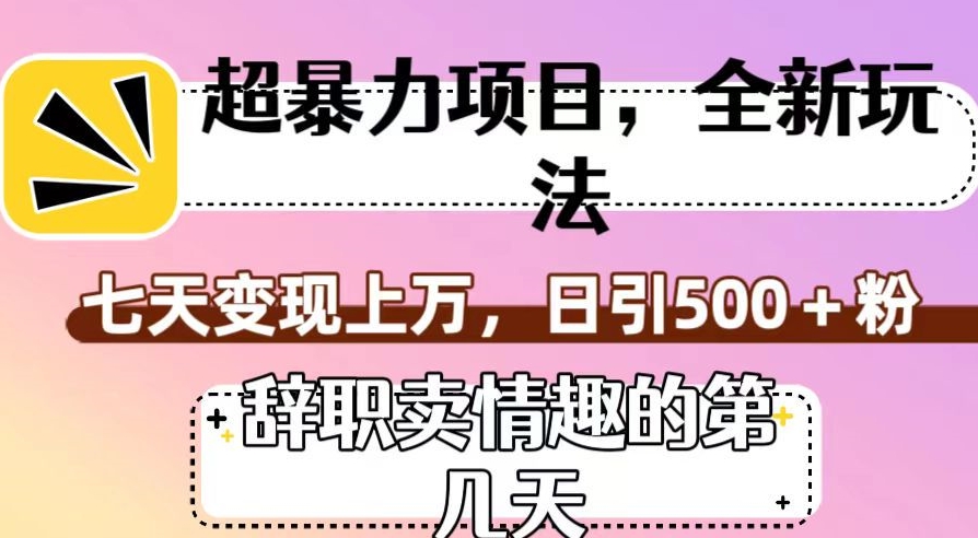 超暴利项目，全新玩法（辞职卖情趣的第几天），七天变现上万，日引500+粉【揭秘】-轻松搞定副业 - 高效赚钱方法和建议