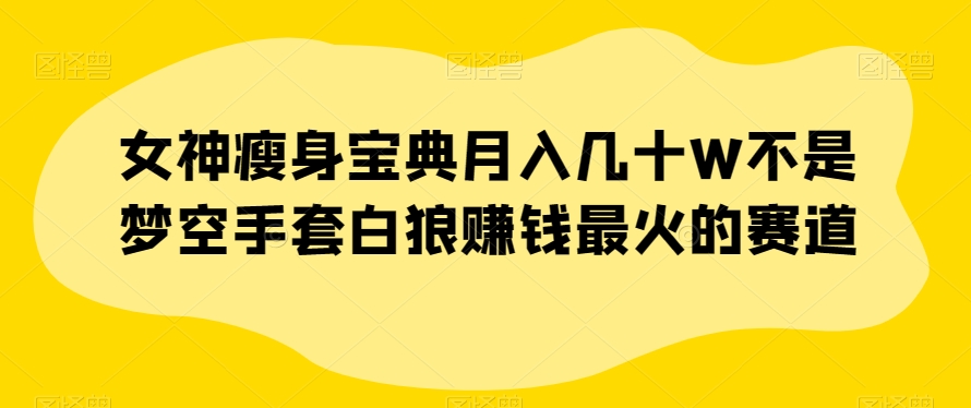 女神瘦身宝典月入几十W不是梦空手套白狼赚钱最火的赛道【揭秘】-轻松搞定副业 - 高效赚钱方法和建议