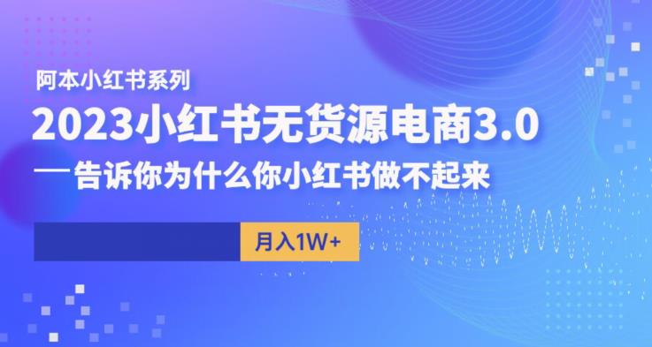 阿本小红书无货源电商3.0，告诉你为什么你小红书做不起来-轻松搞定副业 - 高效赚钱方法和建议