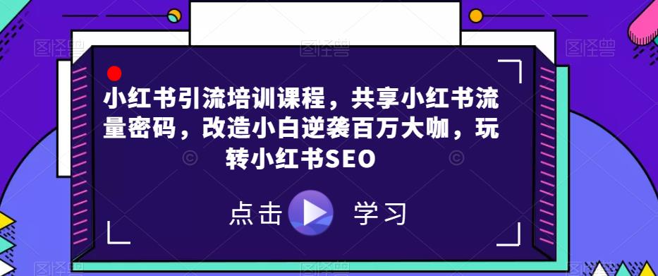小红书引流培训课程，共享小红书流量密码，改造小白逆袭百万大咖，玩转小红书SEO-轻松搞定副业 - 高效赚钱方法和建议