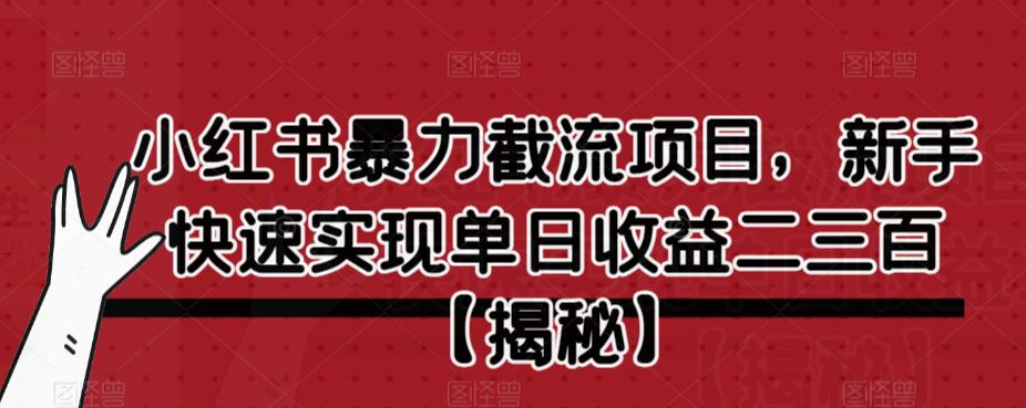 小红书暴力截流项目，新手快速实现单日收益二三百【仅揭秘】-轻松搞定副业 - 高效赚钱方法和建议