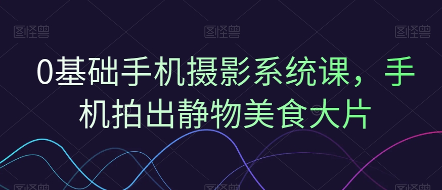 0基础手机摄影系统课，手机拍出静物美食大片-轻松搞定副业 - 高效赚钱方法和建议