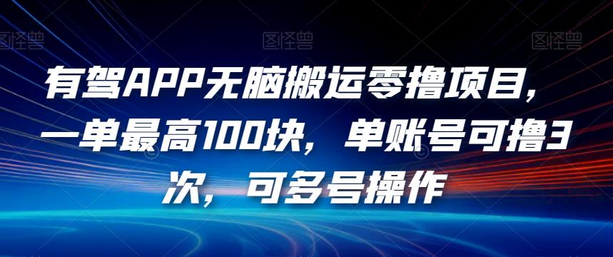 有驾APP无脑搬运零撸项目，一单最高100块，单账号可撸3次，可多号操作【揭秘】-轻松搞定副业 - 高效赚钱方法和建议