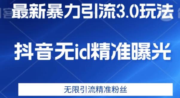 最新暴力引流3.0版本，抖音无id暴力引流各行业精准用户-轻松搞定副业 - 高效赚钱方法和建议