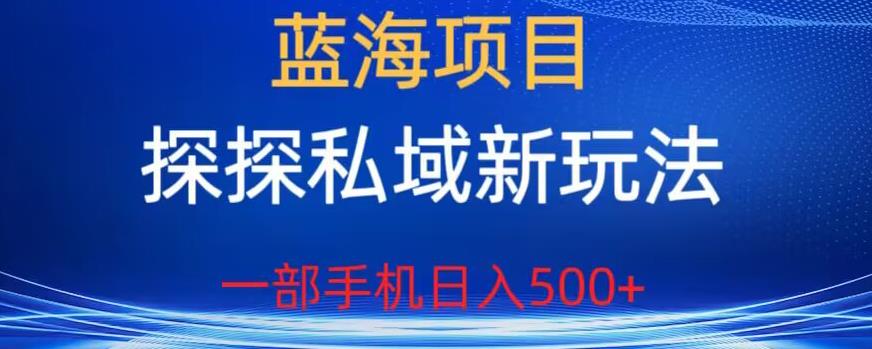 蓝海项目，探探私域新玩法，一部手机日入500+很轻松【揭秘】-轻松搞定副业 - 高效赚钱方法和建议