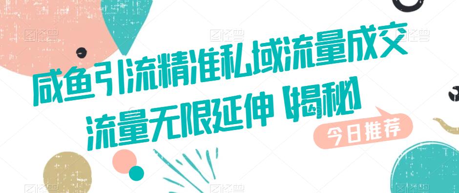 咸鱼引流精准私域流量成交流量无限延伸【揭秘】-轻松搞定副业 - 高效赚钱方法和建议