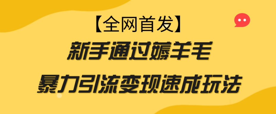 【全网首发】新手通过薅羊毛暴力引流变现速成玩法-轻松搞定副业 - 高效赚钱方法和建议